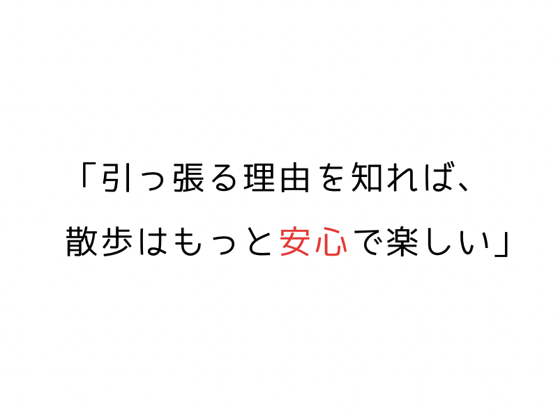 犬が散歩で引っ張るのはなぜ?原因と直し方|やさしいハズバンダリートレーニング入門04.png alt=" 犬が散歩で引っ張るのはなぜ?原因と直し方|やさしいハズバンダリートレーニング入門"
