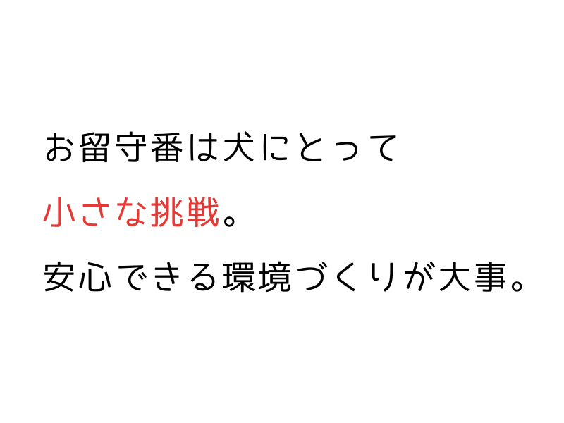 犬の留守番ストレスとは？下痢・吐く原因と安心して過ごせる環境作り01.png
alt=" 犬の留守番ストレスとは？下痢・吐く原因と安心して過ごせる環境作り"