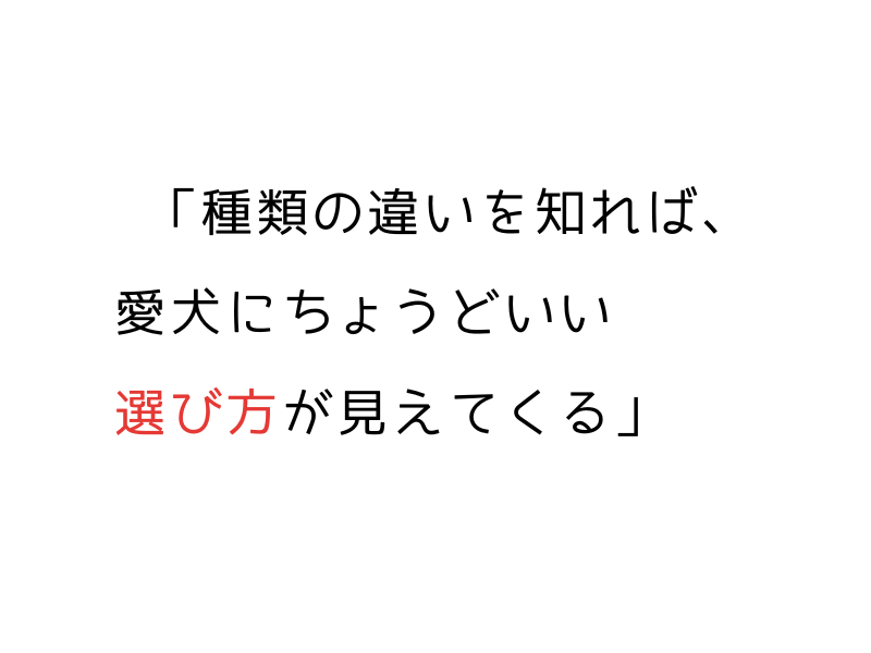 犬の混合ワクチン完全ガイド｜種類・接種時期・繁殖引退犬の注意点03.png
Alt="犬の混合ワクチン完全ガイド｜種類・接種時期・繁殖引退犬の注意点"