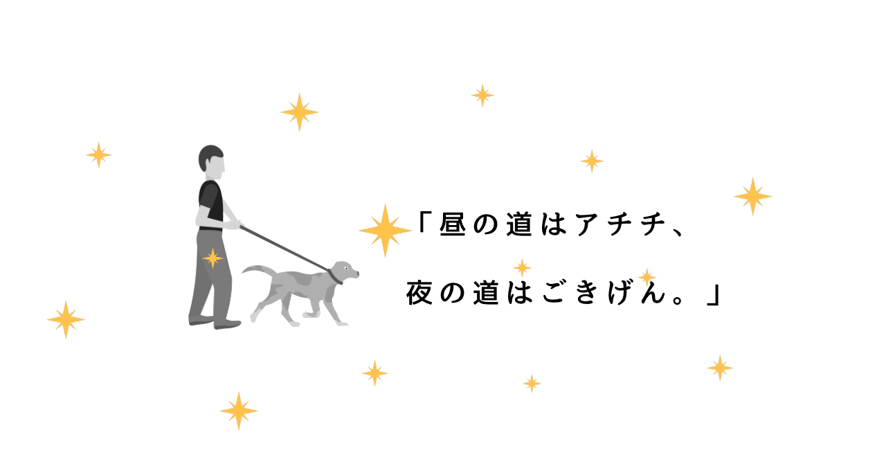 犬の夏の散歩は危険？暑さ対策と安全に歩くためのポイント