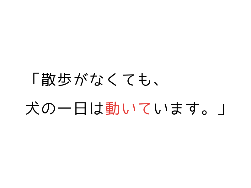 犬が散歩できない日の過ごし方|ストレスをためずに楽しく過ごす工夫01.png