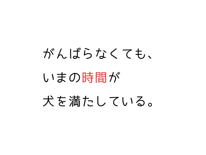 犬が散歩できない日の過ごし方|ストレスをためずに楽しく過ごす工夫05.png