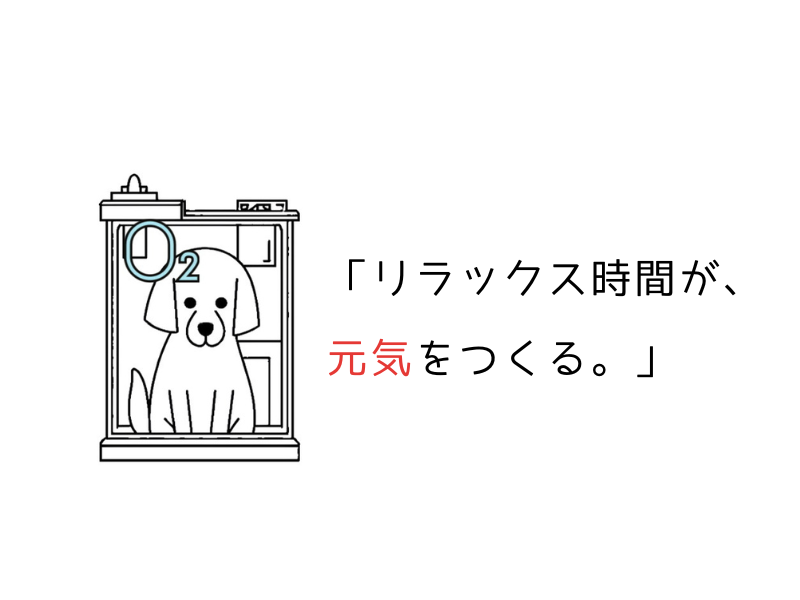繁殖引退犬に酸素カプセルは必要？｜実体験から見る健康ケアの効果と注意点08.png alt=" 繁殖引退犬に酸素カプセルは必要？｜実体験から見る健康ケアの効果と注意点"