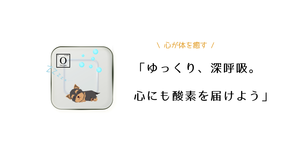 なぜ「飼い主との距離」は少しずつ近づくのか？繁殖引退犬の“心のケア”と酸素カプセル体験記.png