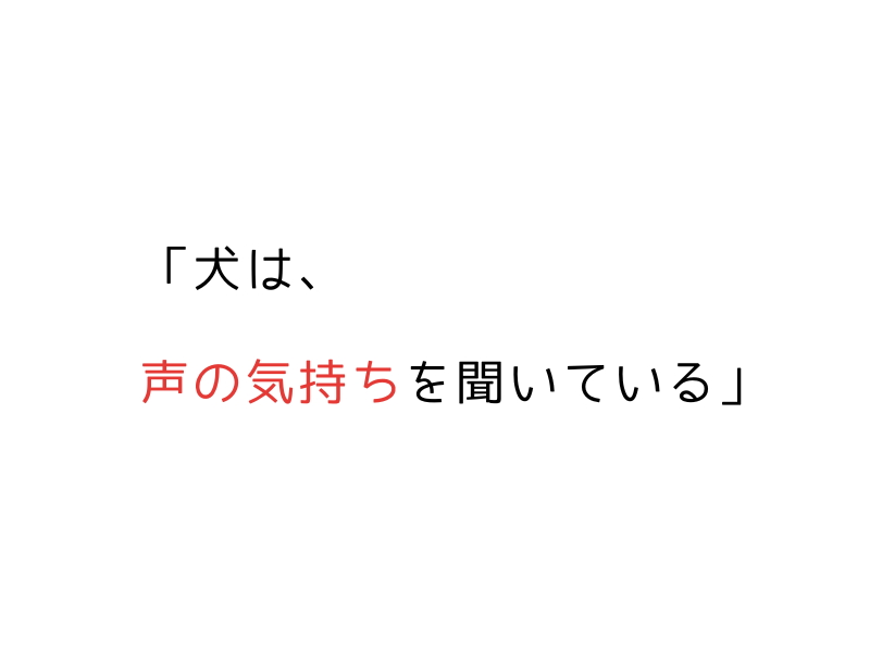 なつかない犬でも反応した｜犬が喜ぶ言葉ランキング【実体験】01.png alt=" "なつかない犬でも反応した｜犬が喜ぶ言葉ランキング【実体験】