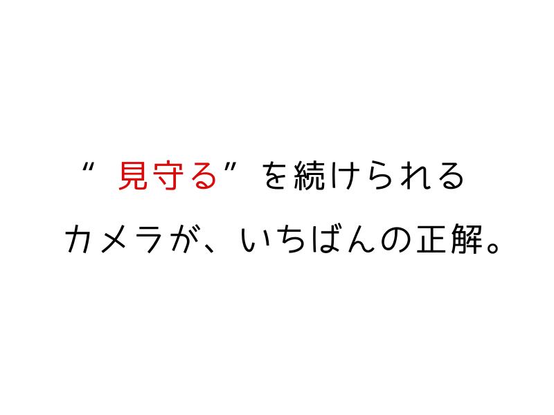 実際に使ってわかった！ペットカメラで見える犬の心理と留守番の過ごし方05.png Alt="実際に使ってわかった！ペットカメラで見える犬の心理と留守番の過ごし方"