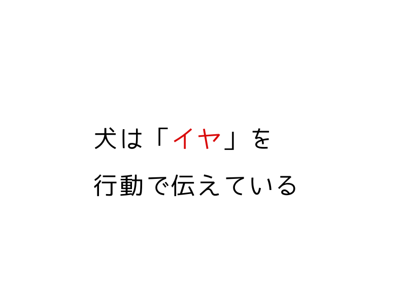犬に言ってはいけない言葉7選|知らずに傷つけていたNGワードと安心させる声かけ【実体験】03.png
alt=" 犬に言ってはいけない言葉7選|知らずに傷つけていたNGワードと安心させる声かけ【実体験】"