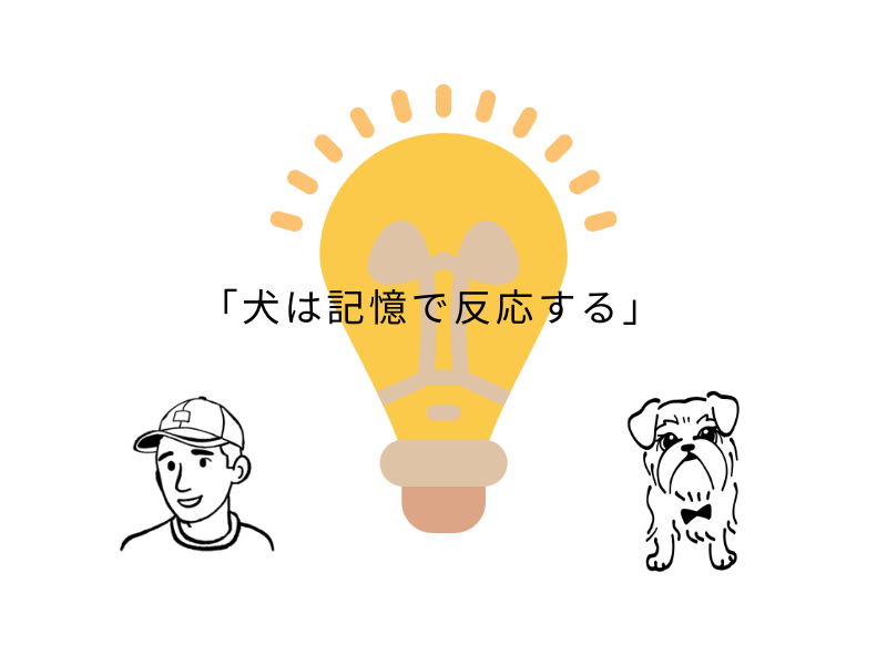 犬に言ってはいけない言葉7選|知らずに傷つけていたNGワードと安心させる声かけ【実体験】07.png
alt=" 犬に言ってはいけない言葉7選|知らずに傷つけていたNGワードと安心させる声かけ【実体験】"