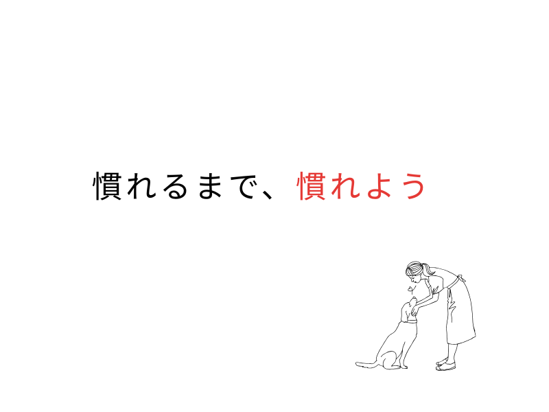 犬の分離不安が治ったブログ｜笑みと、ぼくが正直に感じた変化08.png
alt=" 犬の分離不安が治ったブログ｜笑みと、ぼくが正直に感じた変化"
