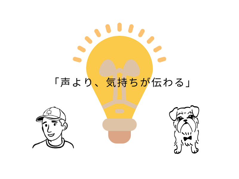 犬が喜ぶ言葉と褒め方｜安心する声かけと伝わる話し方のコツ01.png
alt=" 犬が喜ぶ言葉と褒め方｜安心する声かけと伝わる話し方のコツ"