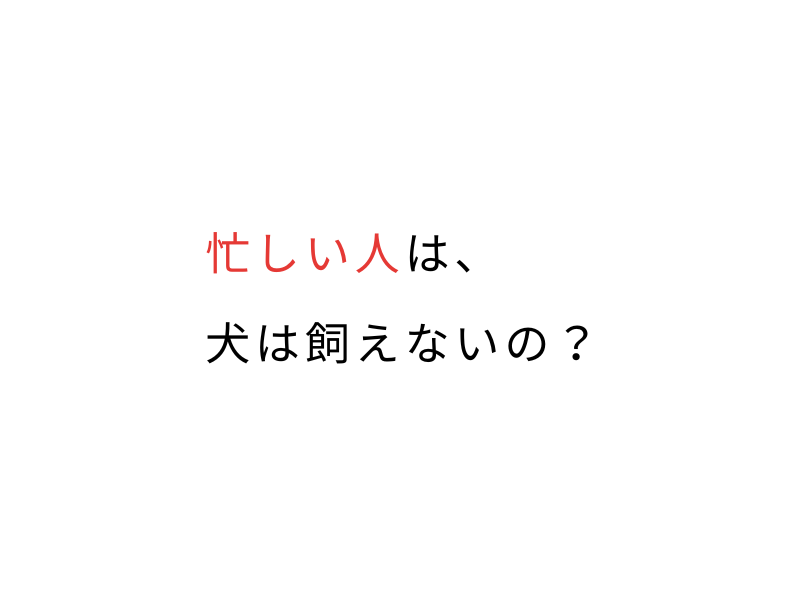 仕事が忙しい人は犬を飼うのは無理？後悔しない考え方07.png
alt=" 仕事が忙しい人は犬を飼うのは無理？後悔しない考え方"