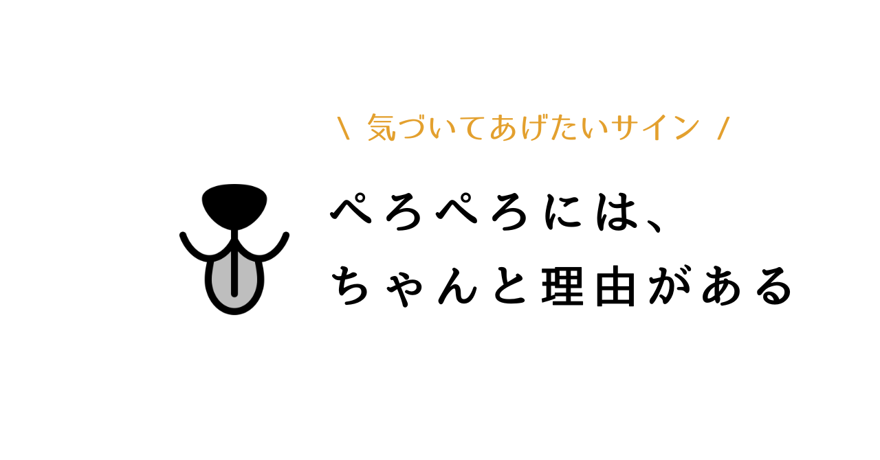 犬が足を舐め続けるのはなぜ？原因と対処法を5つのポイントで解説