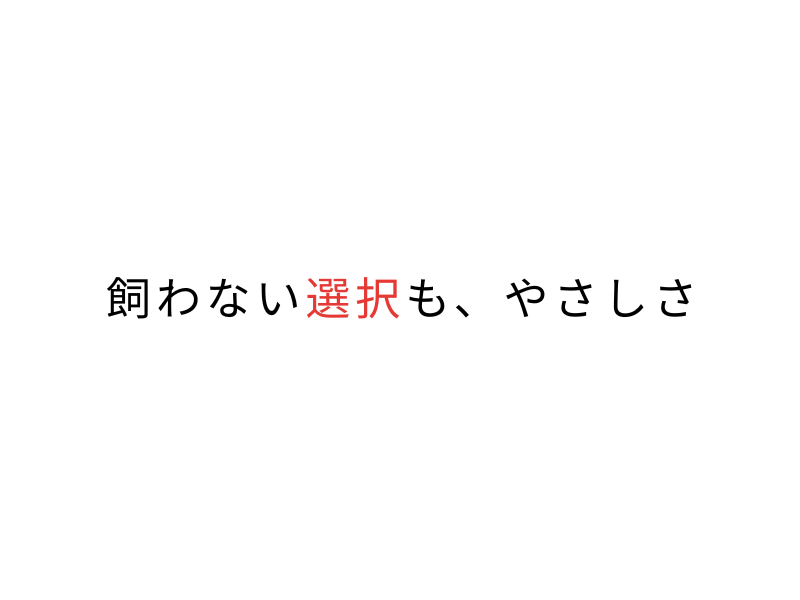 仕事が忙しい人は犬を飼うのは無理？後悔しない考え方06.png
alt=" 仕事が忙しい人は犬を飼うのは無理？後悔しない考え方"