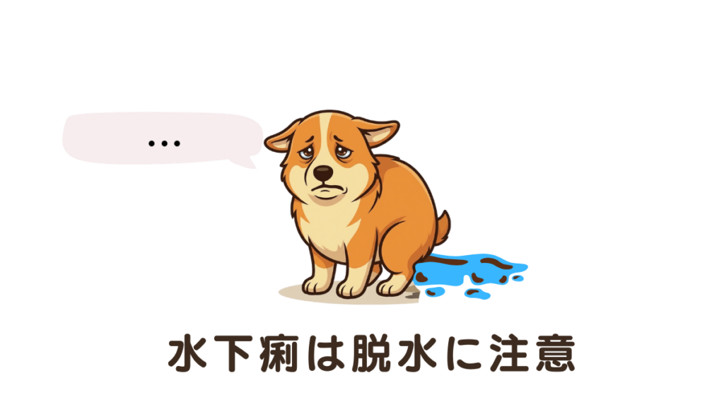 愛犬が「水のような下痢」をして驚いていませんか？水下痢は想像以上に体力を奪い、脱水症状を招く恐れがあるため注意が必要です。愛犬との生活で学んだ、一刻を争うサインと家庭でできる応急処置をまとめました。正しい見極めで、大切な愛犬のピンチを救いましょう。