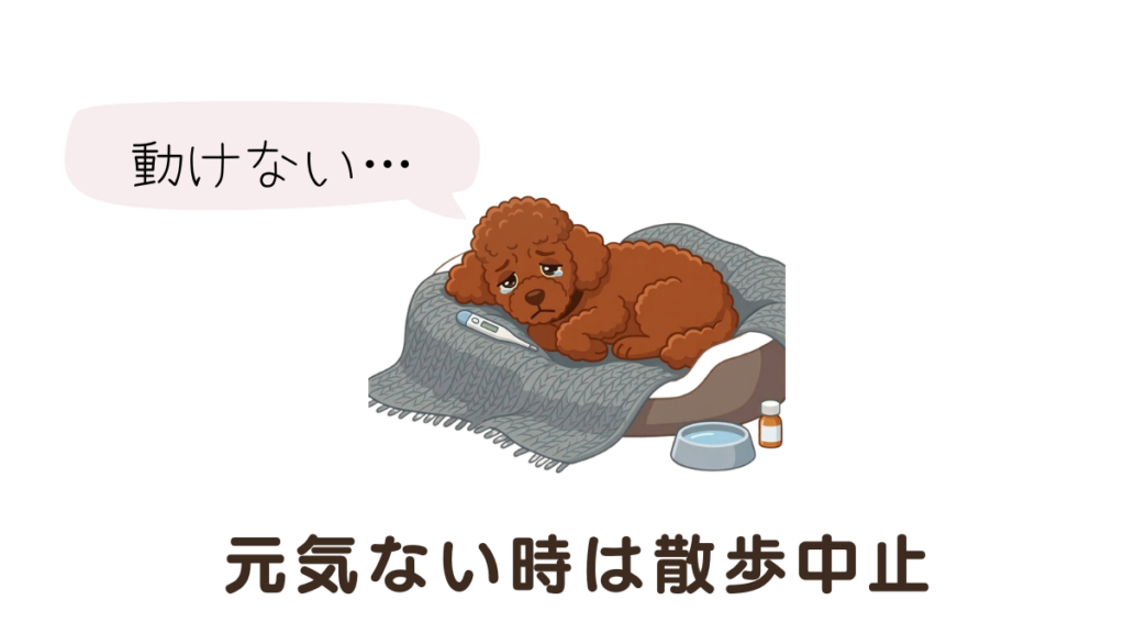 愛犬の下痢に「散歩はどうすべき？」と悩んでいませんか？実は元気の有無が大きな分かれ道。実体験をもとに、散歩OKな基準と中止すべきサインを詳しく解説します。さらに外出時の万全な準備についてもご紹介。愛犬の健康を守るための正しい判断基準を、今すぐチェックしましょう。