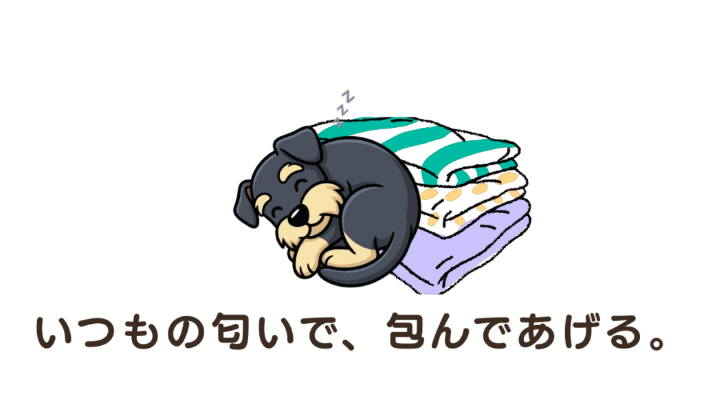 留守番のたびに繰り返す下痢や粗相。「寂しい思いをさせてごめんね」と自分を責めていませんか？それは愛犬が不安と戦っているサイン。わが家が実践した「0分からの慣らし方」や、匂いで安心を作る環境づくりを解説します。焦らず、愛犬の心に寄り添う一歩をここから。
