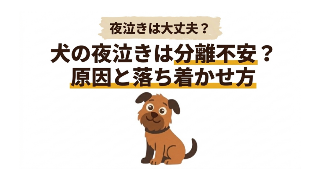 愛犬の夜泣きが続くと、近所への気兼ねや寝不足で疲れてしまいますよね。もしかして分離不安かも？と不安な飼い主さんへ、夜泣きの原因と落ち着かせるコツを詳しく解説します。愛犬もあなたも安心して眠れる夜を取り戻すためのヒントをまとめました。