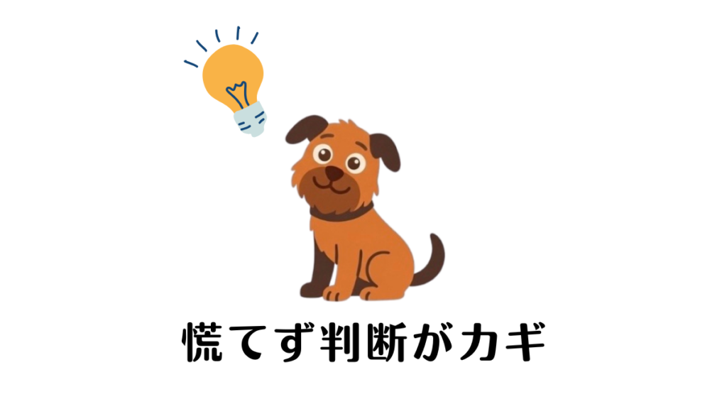 愛犬の便にゼリー状のものが混じっていて、慌てていませんか？ 「image.png」でも触れた通り、大切なのは落ち着いて原因を見極めることです。 我が家の愛犬との実体験から学んだ、危険なサインの見分け方と正しい対処法を詳しくまとめました。