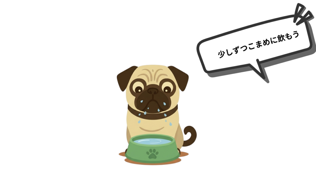 愛犬が一度に大量の水を飲み、その後に吐き戻して驚いたことはありませんか?実は、急なガブ飲みは体に負担をかける原因になります。正しい水分補給の目安と、少しずつこまめに飲ませる工夫をまとめました。愛犬の健やかな毎日を支える給水術をマスターしましょう。
