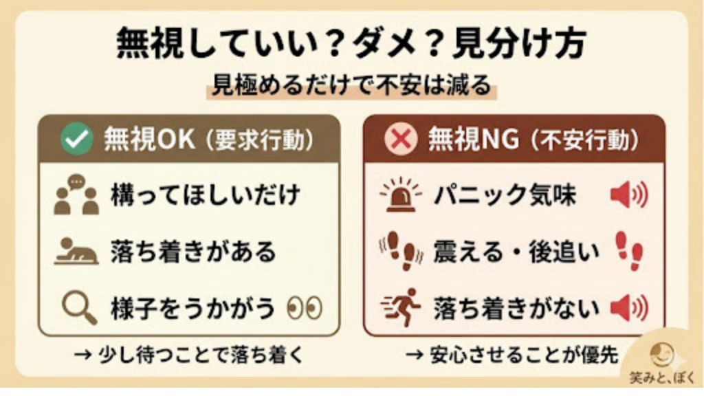 愛犬の鳴き声や後追い、無視すべきか応じるべきか迷って苦しくなっていませんか？実は、単なる要求か不安行動かを見極めるだけで、愛犬の心はもっと穏やかになります。パニックや震えなどのNGサインと、安心を優先すべき基準をプロの視点でわかりやすく解説します。