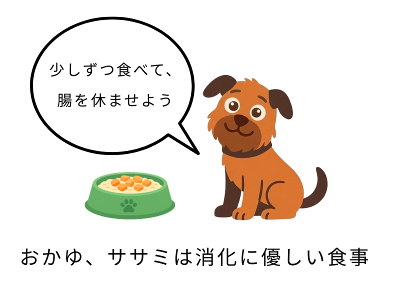 ケアの具体性をアピール（読者のメリット大）
犬がゼリー状の下痢！元気はあるけど何を食べさせればいい？そんな時は「おかゆやササミ」など腸を休ませる食事がポイントです。愛犬・笑ちゃんの実体験を交え、家庭でできる食事ケアから、見逃せない危険なサインまで詳しく解説。愛犬の「お腹の健康」を今すぐ守るヒントをお届けします。