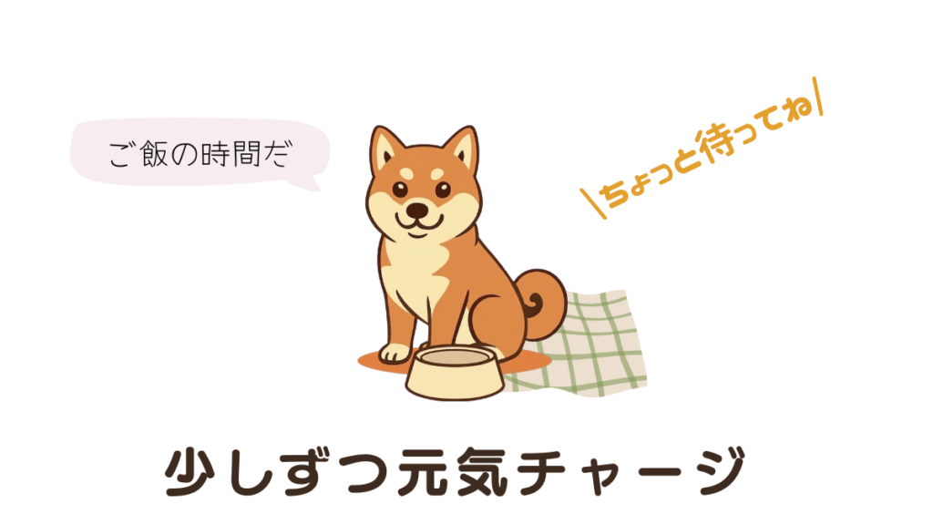 体調を崩した愛犬が、少しずつご飯を食べられるようになるとホッとしますよね。でも「何から食べさせればいいの?」と迷う飼い主さんも多いはず。回復期に最適な食事の選び方や、無理のない元気チャージのコツを解説します。愛犬のペースに合わせた、優しいケアを始めましょう。