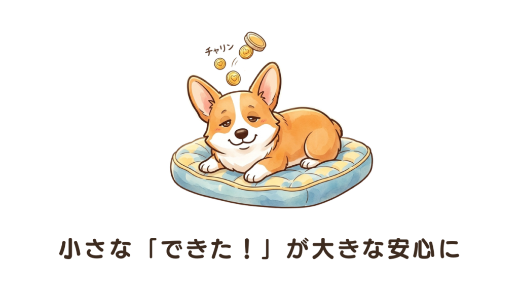 家の中でそわそわする愛犬。その不安を解消する鍵は、小さな成功体験の貯金にあります。忙しい毎日でも隙間時間で実践できる0分トレーニングの具体的な手順をまとめました。愛犬が「一人でも大丈夫」と心から思えるようになるための、やさしい改善ステップをご紹介します。
