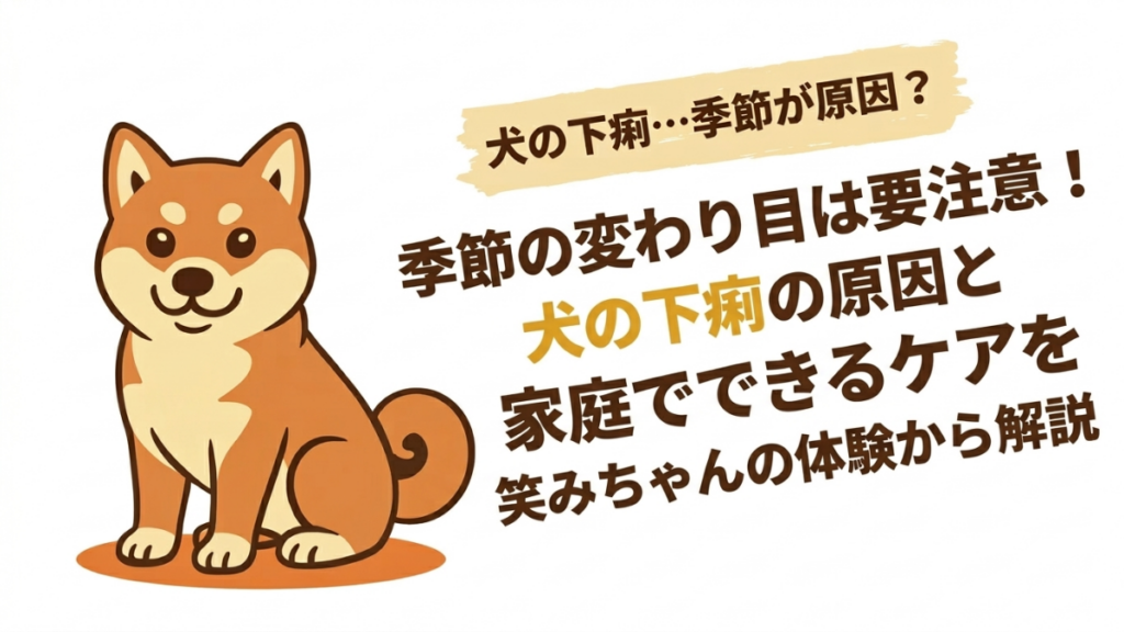 季節の変わり目に愛犬がお腹を壊して驚いていませんか?実は、気温差や環境の変化が原因かもしれません。放置すると長引く下痢の理由と、家庭で今すぐできるケア方法を分かりやすく解説します。愛犬の健やかな毎日を守り、安心を取り戻すヒントが満載です。