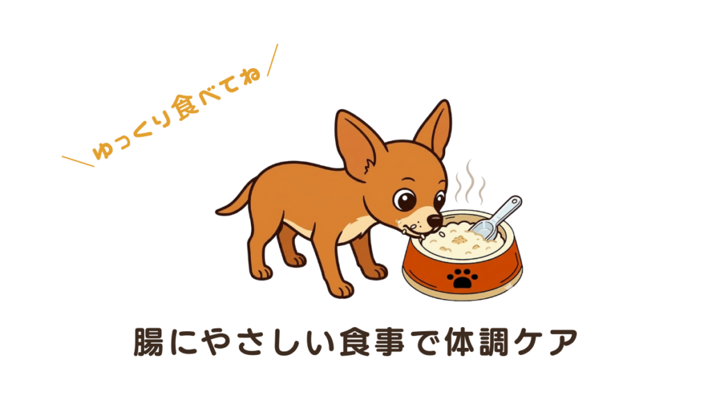 愛犬の下痢が治ったと思ったらまた再発……とお悩みではありませんか?実は食事の与え方ひとつで腸内環境は変わります。我が家ではおかゆを活用するなどの工夫で便が安定しました。実体験から学んだ、今日からできる下痢予防の秘訣を詳しく解説します。