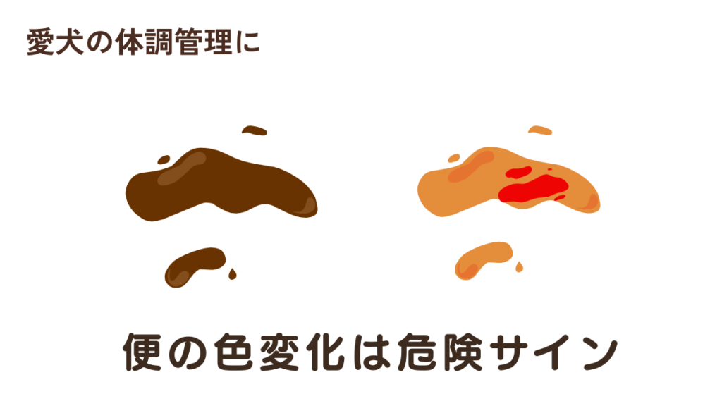 愛犬の便の色がいつもと違う…真っ黒だったり血が混じっていたりして、血の気が引く思いをしていませんか？便の色の変化は、体からの重要なSOSサインです。愛犬との生活で経験した「見逃してはいけない色」の見極め方を解説します。冷静に判断して、愛犬の健康を守りましょう。