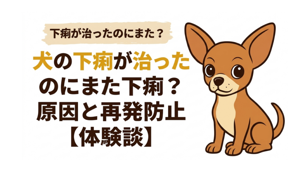 せっかく愛犬の下痢が治ったのに、また繰り返して驚いていませんか?再発の理由は食事や環境、ストレスなど様々です。我が家でもトッピングを茹でる工夫や、さつまいもでの整腸で便が安定しました。実体験から学んだ、今日からできる再発防止のコツを詳しく解説します。