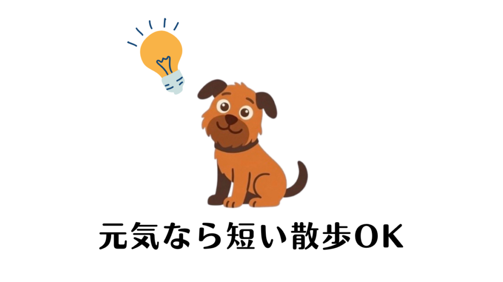 愛犬が下痢のとき「元気そうだけど散歩に行ってもいいの？」と迷ってしまいますよね。実は体調次第で短い散歩ならOKな場合も。我が家の愛犬との実体験をもとに、外出を判断する基準と注意点を解説します。愛犬に負担をかけない正しい過ごし方を知りましょう。