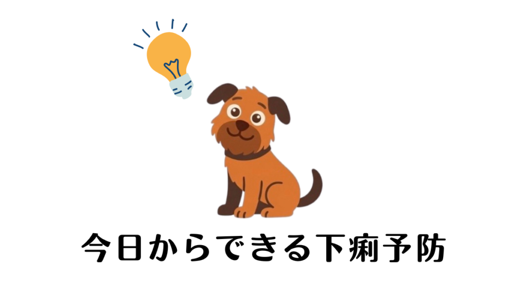 愛犬の下痢が治った直後にまた繰り返すと、どうして?と不安になりますよね。実は日々の食事や環境に原因が隠れていることも。我が家ではトッピングを茹で調理に変え、さつまいもを活用することで便が安定しました。今日から実践できる食事の工夫と予防法を公開します。