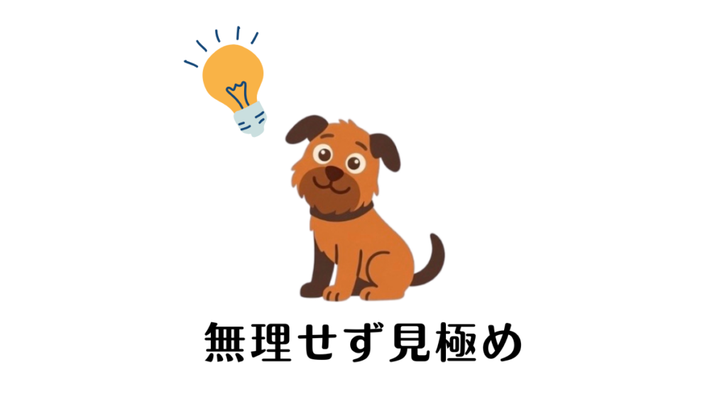 愛犬の下痢が続くと「自分のケアが足りないのかな」と無理をして抱え込んでいませんか？大切なのは、自宅で様子を見て良いか、病院へ行くべきかを見極めることです。愛犬との日常から得た具体的な受診目安を解説します。不安を安心に変えて、冷静に対処しましょう。