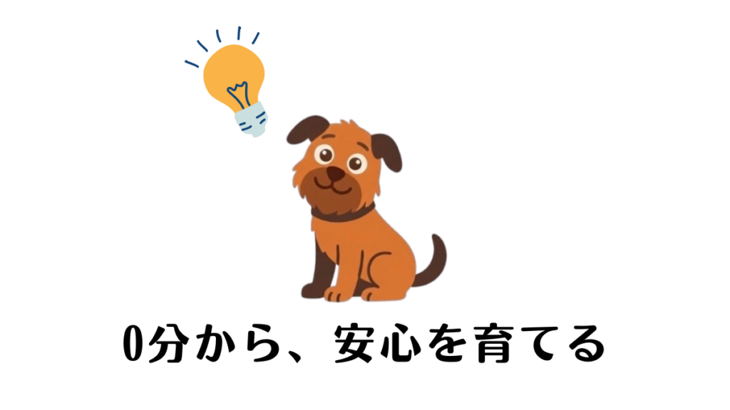 留守番で繰り返す下痢や粗相に「どうしたらいいの？」と途方に暮れていませんか。実は、焦って長時間練習する必要はありません。わが家が実践した「0分から、安心を育てる」トレーニングのコツや、環境づくりのポイントを解説します。愛犬のペースに寄り添い、小さな成功を積み重ねましょう。