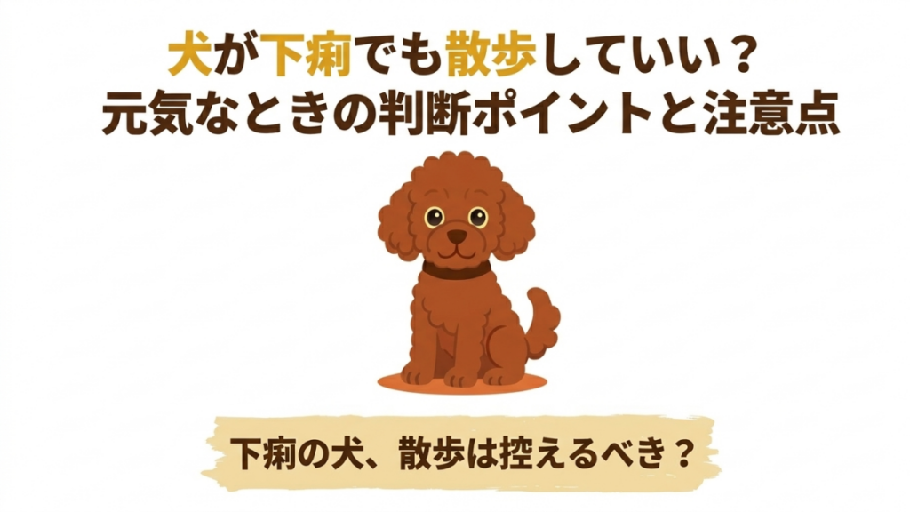 愛犬が下痢をしているとき、お散歩に連れて行っていいのか迷ってしまいますよね。実は、無理な外出が症状を悪化させることも。我が家の愛犬との実体験を交え、元気の有無で決める「散歩の判断基準」と注意点を解説します。愛犬の体調を最優先に考えたい方必見です。
