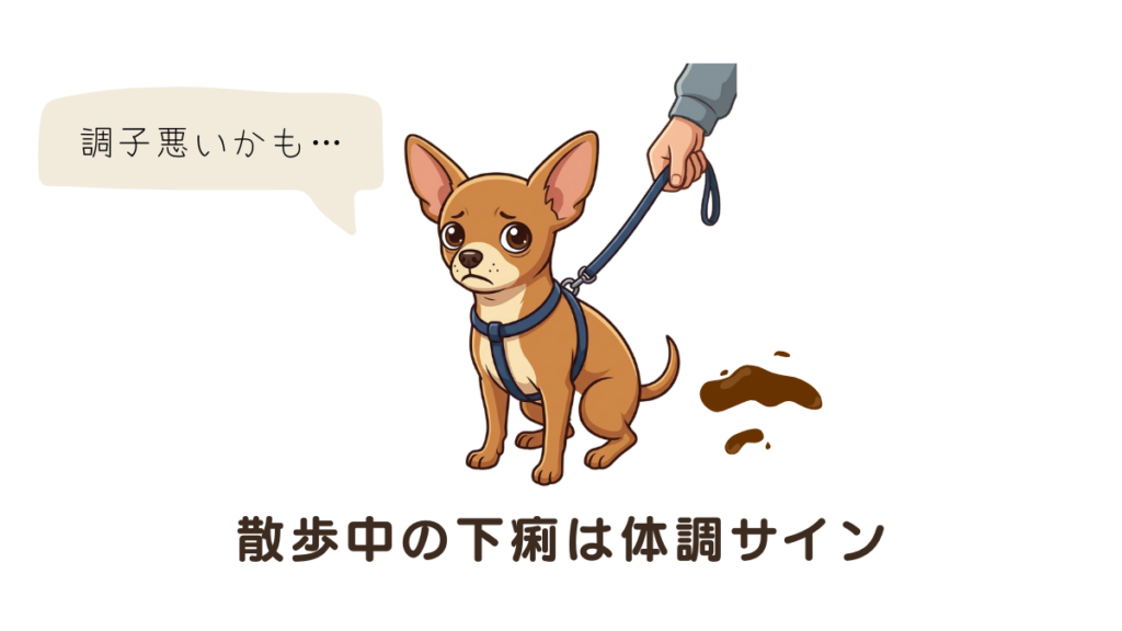 愛犬の下痢が一度治ったのに、散歩中にまた緩くなって驚いたことはありませんか?それは体からの大切なサインかもしれません。我が家でも元繁殖犬である愛犬の、環境変化によるストレスや食事を徹底的に見直しました。実体験からわかった下痢の再発を防ぐためのチェックポイントを解説します。