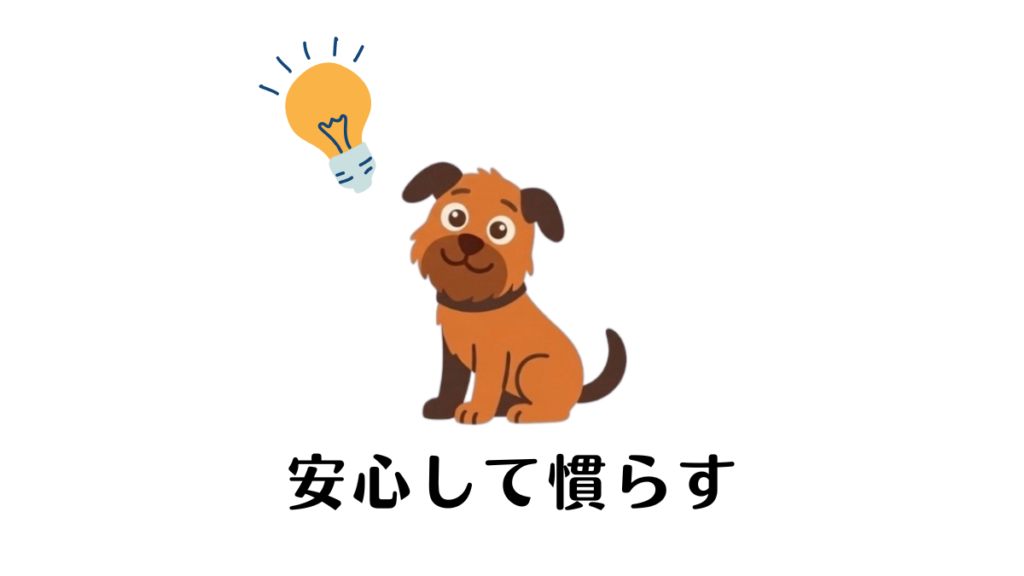 愛犬をひとりにするとパニックになる姿を見て、胸を痛めていませんか?「もうお留守番は無理かも」と諦める前に試してほしい、分離不安を克服するためのステップを解説。愛犬の不安を解消し、少しずつ「安心」を積み重ねて慣らしていく具体的なトレーニング法がわかります
