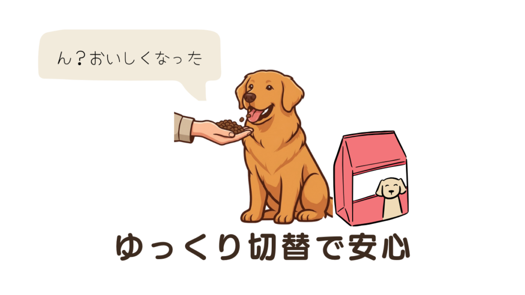 新しいフードに変えた途端、愛犬がお腹を壊して驚いたことはありませんか？良かれと思った食事が負担にならないよう、正しい「ゆっくり切り替え」が大切です。愛犬が「おいしい！」と喜ぶ食いつきを維持しながら、胃腸を労わる具体的な移行スケジュールを詳しく解説します。