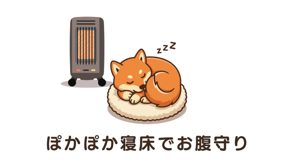 夜中に愛犬が何度も寝返りを打ったり、お腹を下しやすかったりして心配していませんか?実は、寝床の冷えが原因かもしれません。愛犬の体温を逃がさない寝具の選び方や、お腹を守る環境作りのポイントを解説。ぽかぽかと心地よい眠りで、愛犬の健康を足元からサポートしましょう。
