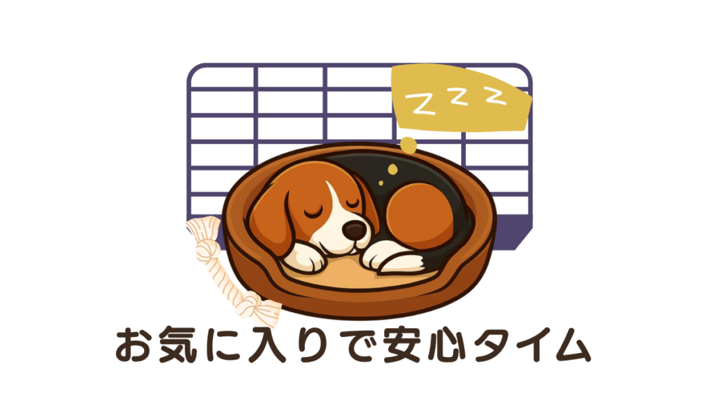 留守番中の愛犬がそわそわして落ち着かない…そんな時は「居場所作り」を見直してみませんか?愛犬が心からリラックスできる、お気に入りの場所を作るポイントを解説。安心感を与えるハウスの活用法や、ひとりの時間を「安心タイム」に変えるための具体的な工夫をご紹介します。