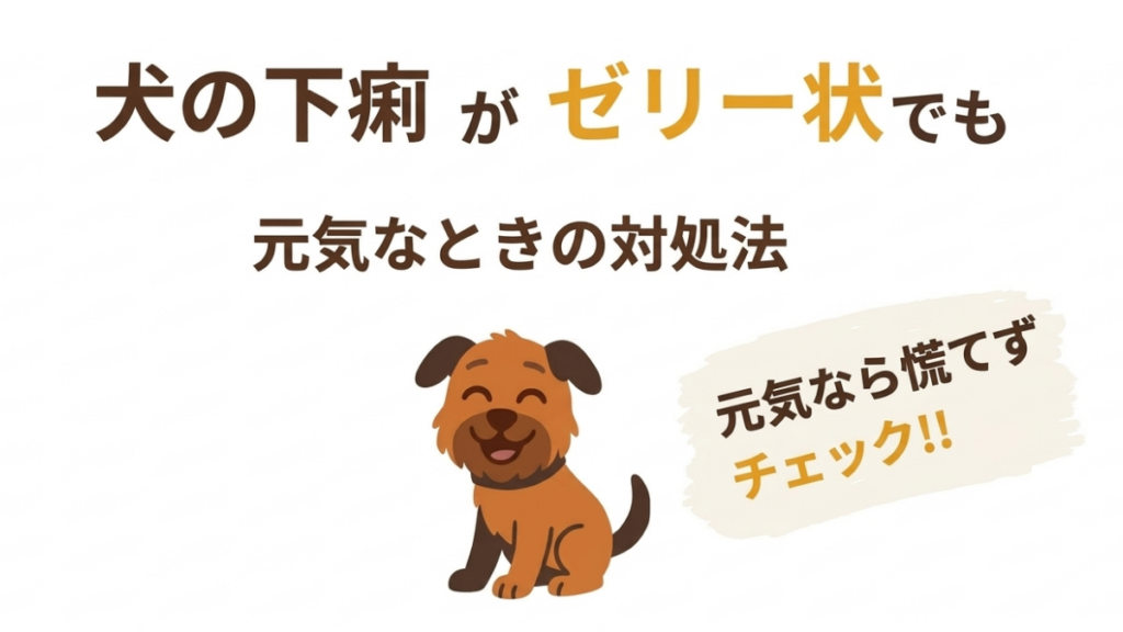 愛犬がゼリー状の下痢!元気はあるけど大丈夫?実はそれ、腸の粘膜かもしれません。愛犬・笑ちゃんの実体験を交え、ゼリー状便の原因から家庭でできる食事ケア、病院へ行くべき「危険なサイン」まで分かりやすく解説します。焦る前にこの記事をチェックして、愛犬の健康を守りましょう。