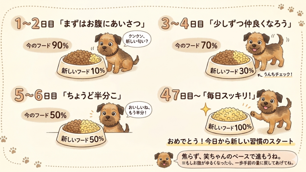 ドッグフードを変えたら愛犬がお腹わ壊して驚いたことはありませんか？じつは急な変更は胃腸に負担になるます
７日間のオーゴンスケジュールです