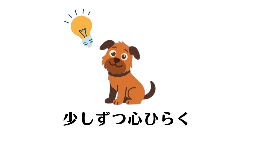 繁殖引退犬を家族に迎えたけれど、なかなか目が合わなかったり、怯えた様子を見せたりして不安になっていませんか?愛犬が初めて心を開いてくれた瞬間のエピソードとともに、焦らず信頼関係を築くための接し方のコツと、迎えてから起きた劇的な変化を記録しました。