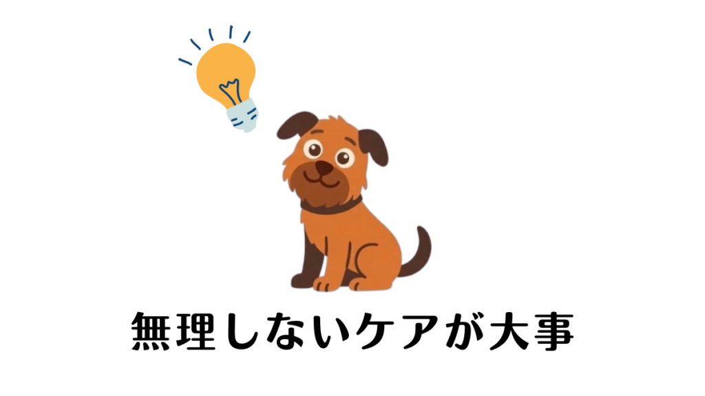 せっかく治った愛犬の下痢が再発して、自分を責めていませんか？実は良かれと思った生肉が逆効果だった我が家の失敗体験から、焦らず「無理しないケア」の大切さを学びました。今すぐやるべき3ステップを実践して、愛犬と一緒に心に余裕を取り戻すためのヒントをお届けします。
