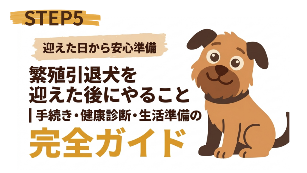 繁殖引退犬を家族に迎え、幸せな反面「まず何をすべき?」と戸惑っていませんか?本記事では、役所の手続きから健康診断、生活環境の整え方まで完全網羅。愛犬との暮らしをスムーズに始めるためのステップを、私の実体験を交えて分かりやすく解説します。