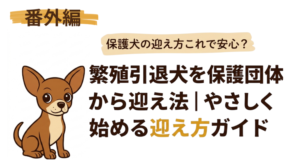 繁殖引退犬を迎えたいけれど、保護団体とのやり取りや審査に不安を感じていませんか?複雑に見える申し込みからお迎えまでの流れを、愛犬との実体験をもとに分かりやすく解説します。この記事を読めば、新しい家族を迎えるための心の準備と具体的な手順が整います。