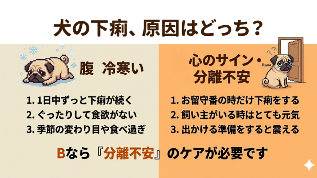愛犬の急な下痢、体調不良なのかメンタル面なのか分からず心配していませんか?この記事では、お留守番の時だけ症状が出る「分離不安」と、冷えや食べ過ぎによる下痢の見分け方を解説します。愛犬のサインを正しく読み解き、適切なケアで安心させてあげる方法を実体験を交えてお伝えします。