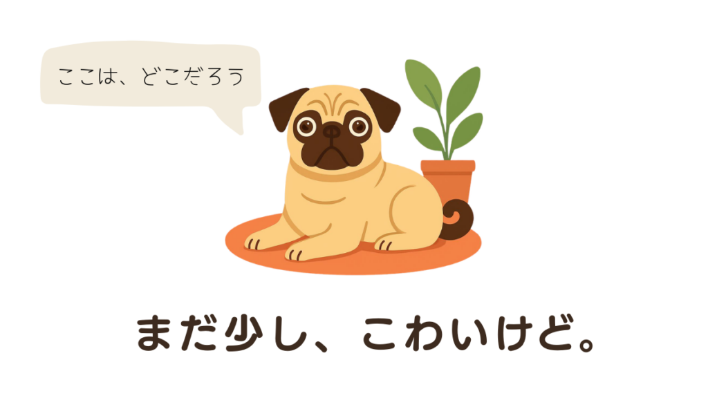 繁殖引退犬を迎えたいけれど、何から準備すればいいか不安で立ち止まっていませんか？「まだ少し、こわい」と感じている愛犬の心に寄り添うために、連絡方法から見学時の重要チェック項目まで、お迎えの全ステップをやさしく解説。新しい家族との一歩を、焦らずここから始めましょう。