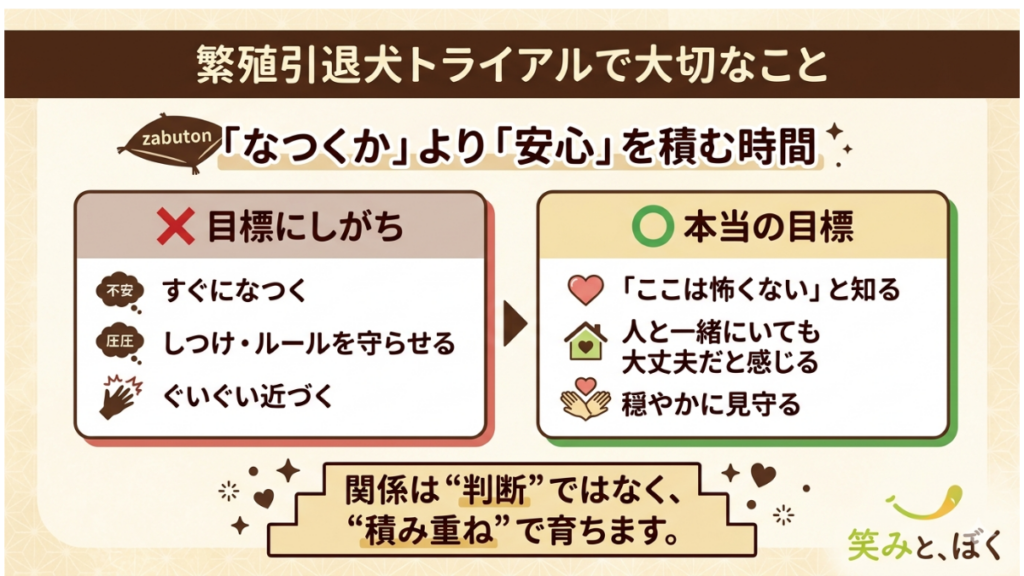 繁殖引退犬とのトライアル。「早く懐いてほしい」と焦っていませんか？大切なのは、なつくことより「ここは怖くない」という安心を積む時間です。目標設定を少し変えるだけで、愛犬との心の距離を縮める方法が分かります。関係は判断ではなく、積み重ねで育ちます。